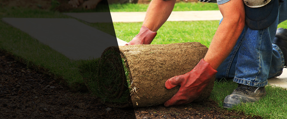Nacogdoches Landscapers